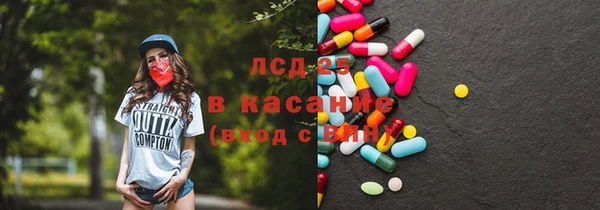 прущие грибы Алексеевка