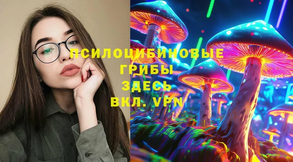 прущие грибы Алзамай