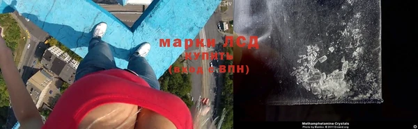 прущие грибы Алзамай