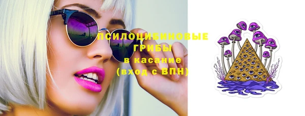 прущие грибы Алзамай