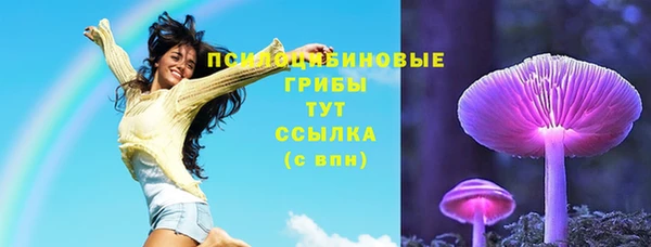 прущие грибы Алзамай