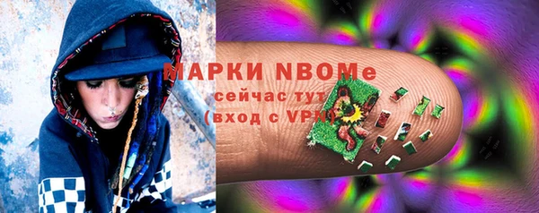 прущие грибы Алексеевка