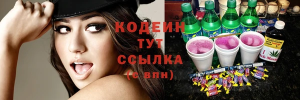 прущие грибы Алзамай